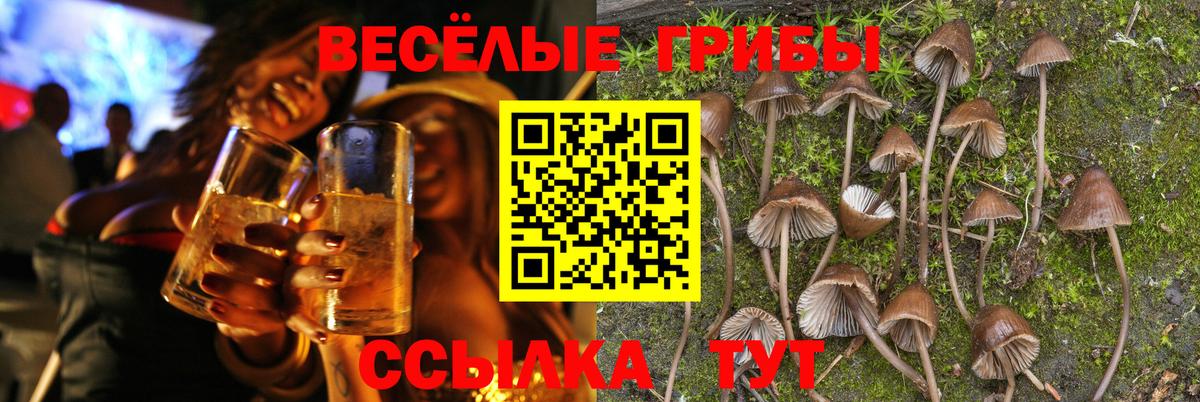 Галлюциногенные грибы прущие грибы Иркутск